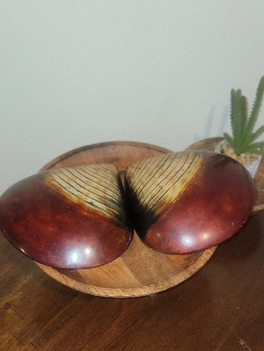 Vintage Japanese Wakasa lacquer clam shell trinket box